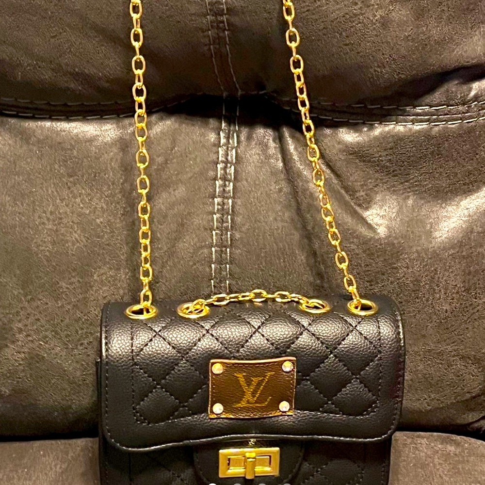 Up Cycled Louis Vuitton purse